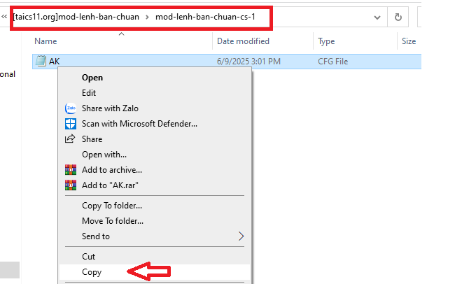 Sao chép file vừa giải nén 